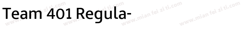 Team 401 Regula字体转换
